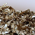Life Reusing Posidònia project: low environmental impact vegetal insulation
