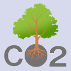 Calculation of the carbon footprint in the forestry sector