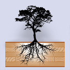 Proyecto Maderaula: aprovechando el potencial de la madera de proximidad en la edificación industrializada